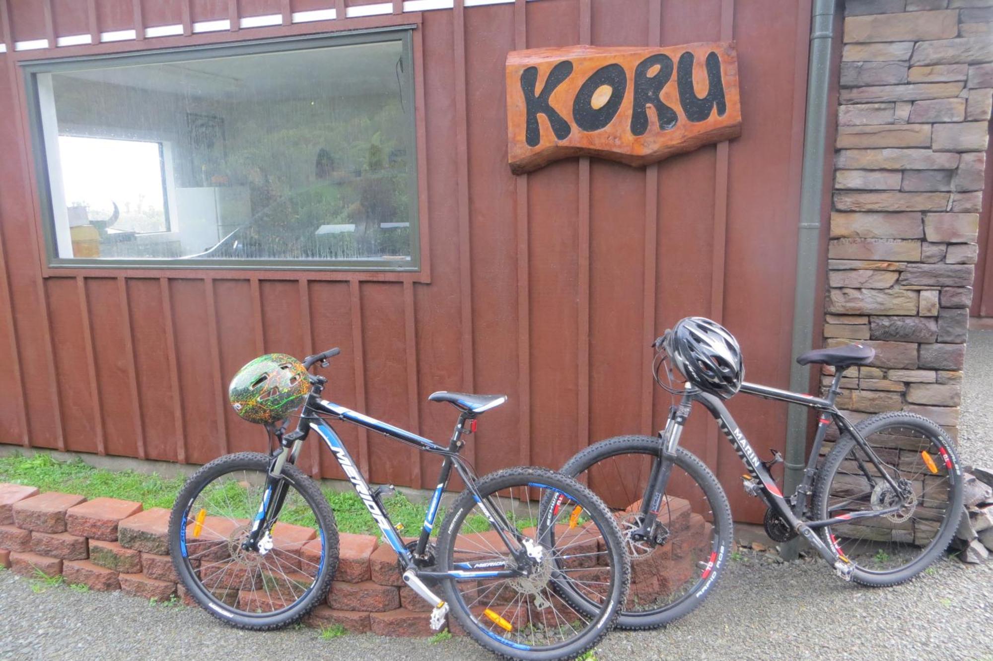 Koru Beachfront Holiday Cabins & Hot Tub Barrytown Exteriör bild